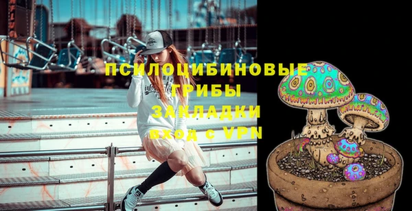 ECSTASY Армянск