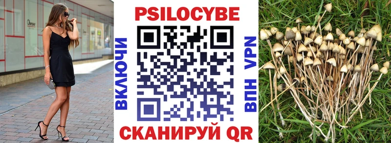 Галлюциногенные грибы мухоморы  наркотики  Унеча 